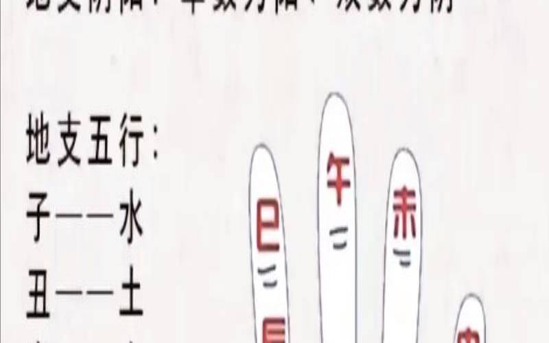 六爻玄奇pdf海天（六爻入门基础知识）