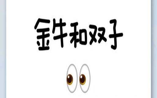 金牛女与双子男配对吗（双子女和金牛男配吗）
