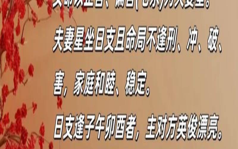 八字测配偶能力与财富（算婚姻姻缘免费软件）