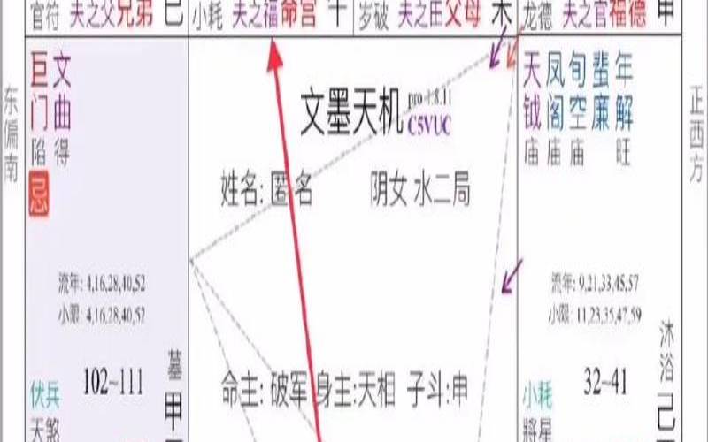 如何看紫薇斗数（紫微斗数看配偶）