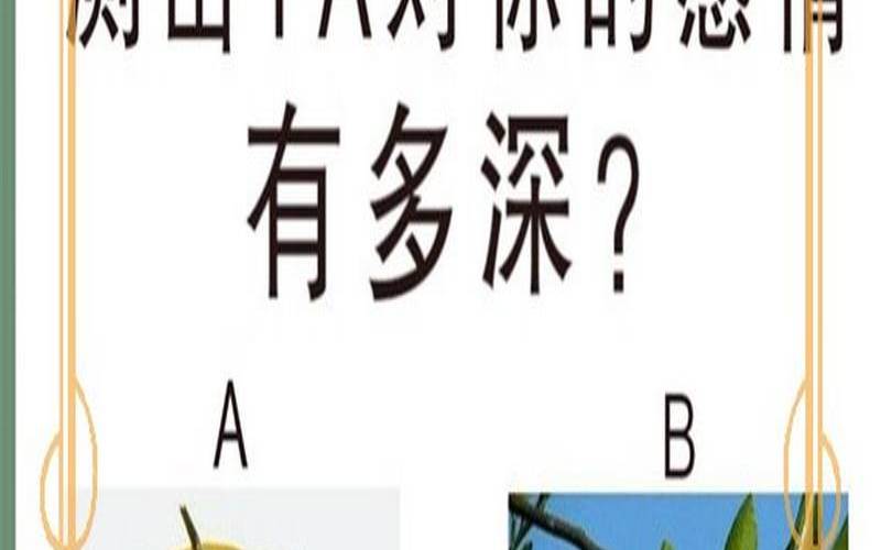 感情测试结果（最权威的心理测试）