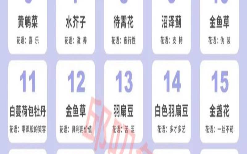 怎么测生日花（测你有什么好运在悄悄降临）