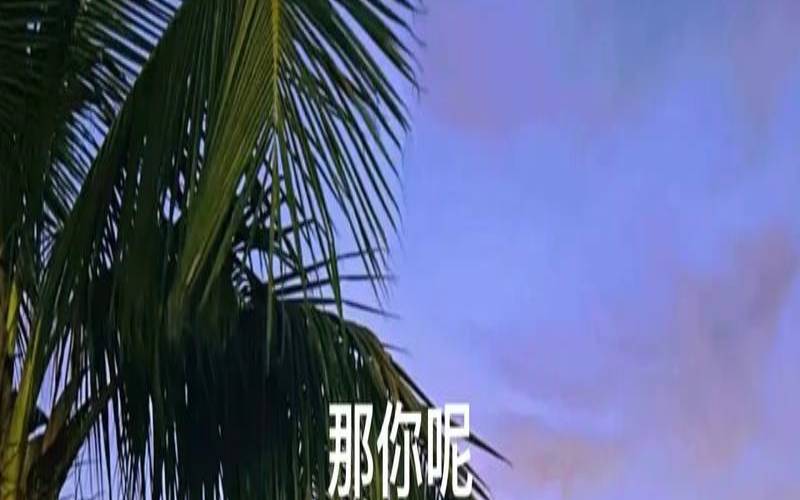 下半年你哪方面能够突飞猛进（下半年有什么打算）