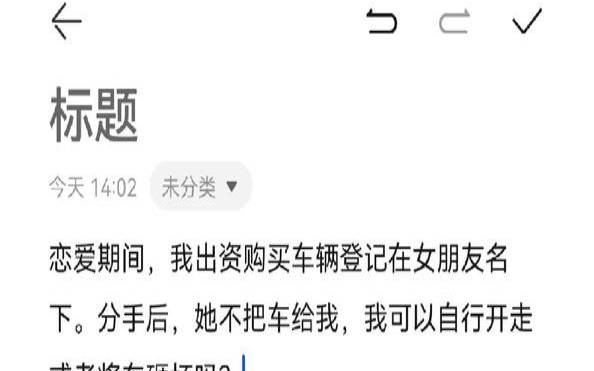 谈恋爱不知道对方名字（没结婚买车写女方名字）