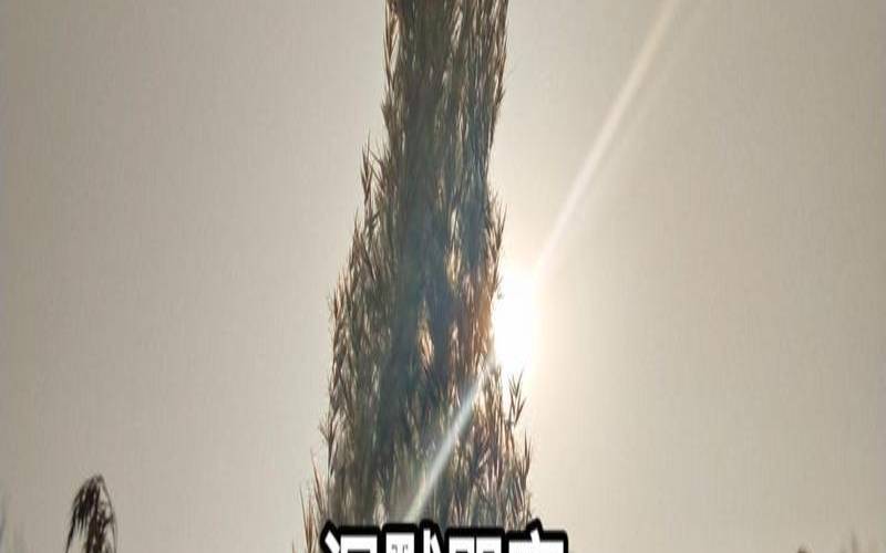 为什么喜欢独自一人（总喜欢自己一个人独处）