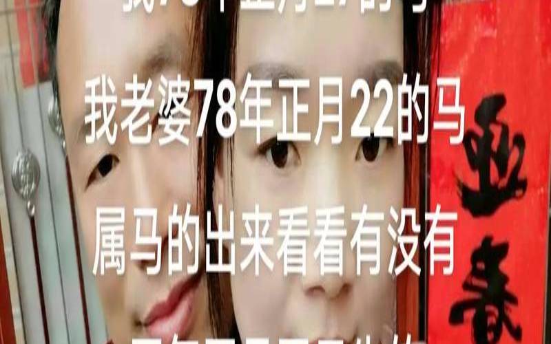 生肖马和生肖猪合得来吗（属马跟猪属相合不合）