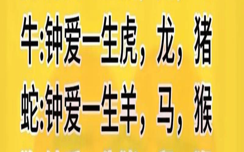 20030618是什么生肖（三六前后有号码解生肖）