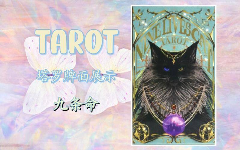 猫咪塔罗牌占卜（最准塔罗牌免费占卜）
