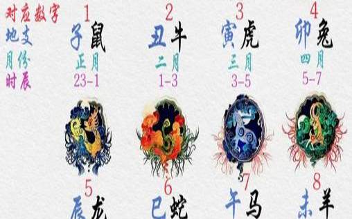 数字3038是什么意思（一三代表什么生肖数字）