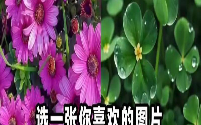 测试你在朋友圈的人气（心理测试你哪方面遭人嫉妒）