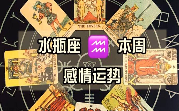 塔罗占卜水瓶座未来（猫巫塔罗2019年12月水瓶座）