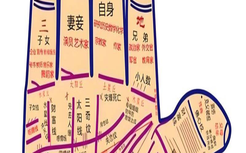 手相准确吗科学解释（手相准确率有多高）