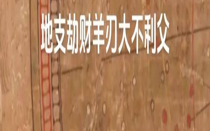年柱地支巳火（偏财透正财藏二婚）
