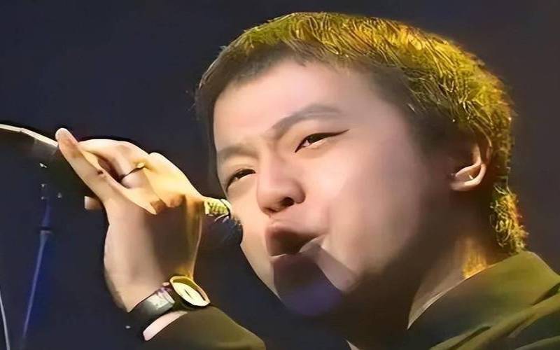 臧鸿飞怎么火的（臧鸿飞说窦唯）