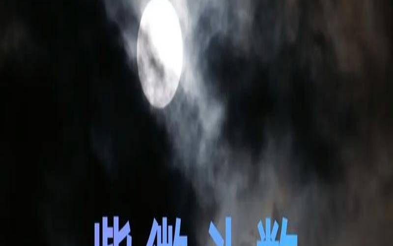 田宅宫紫微入庙（天机巨门在田宅宫）
