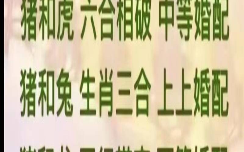 生肖龙跟生肖猪配吗（猪和龙属相配婚姻如何）