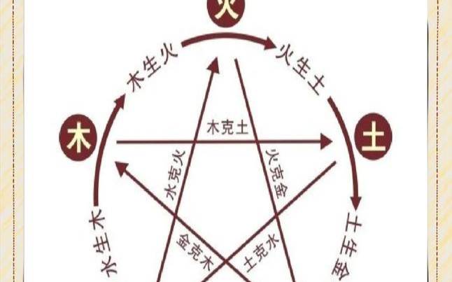 琴棋书画生肖什么意思（水肖是什么生肖）