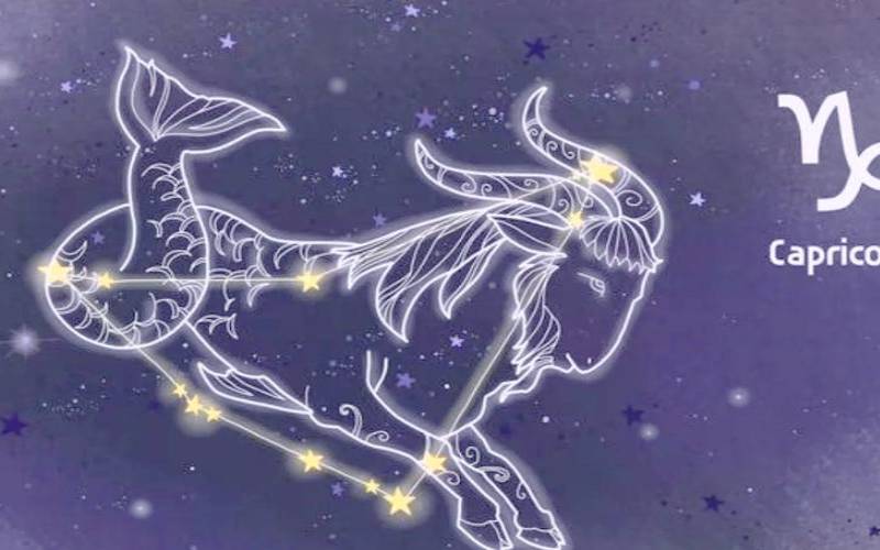 最稳重最踏实的星座男（格局小的星座男）