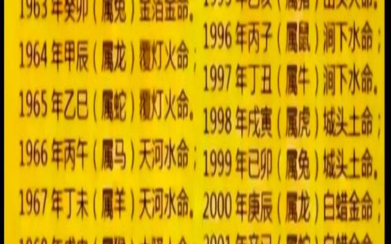 二八是什么生肖的数字（二八左右来生肖和数字）