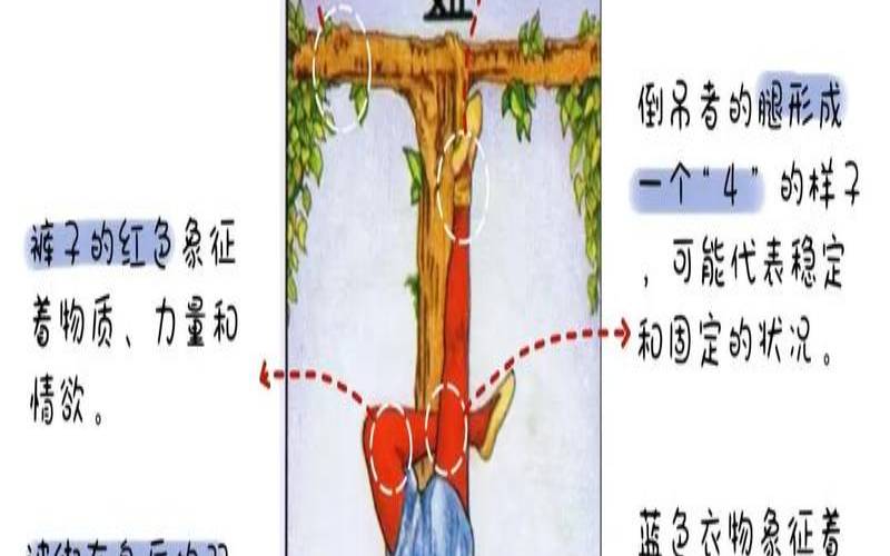塔罗牌中倒吊人是什么意思（新手该如何自学塔罗牌）