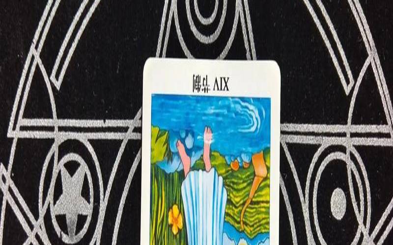 塔罗牌财富节制逆位的意思（塔罗牌恶魔逆位事业）