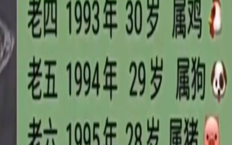1991年的生肖排码表（91年属什么生肖的）