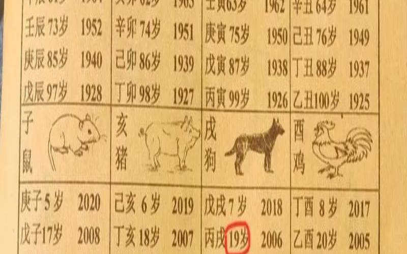 什么生肖残缺不全（一无所有打正确生肖）