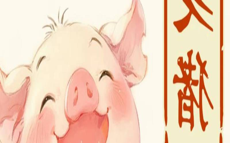 属猪人12月份运势如何2021（属猪女12月份的都是苦命吗）