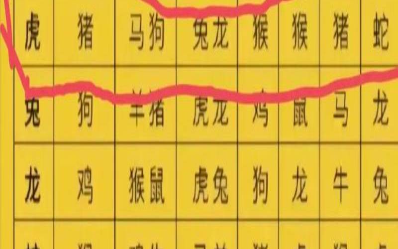 四面八方是什么生肖号码（四面八方的意思）