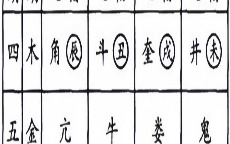 二十八星宿度数吉凶的书（28星宿实力排名表）