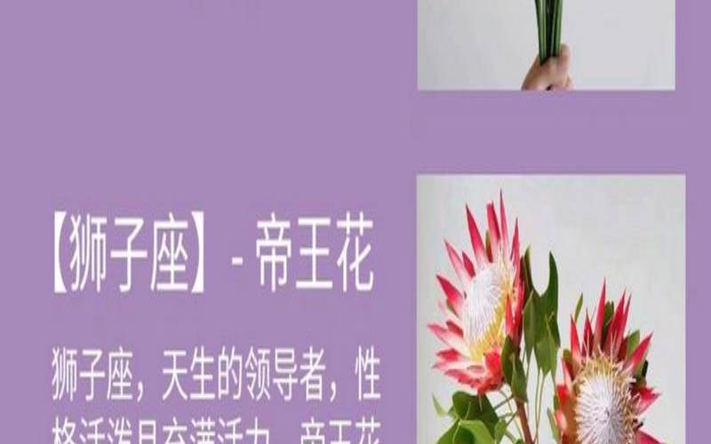 双子座花钱厉害吗（真正双子座守护花）
