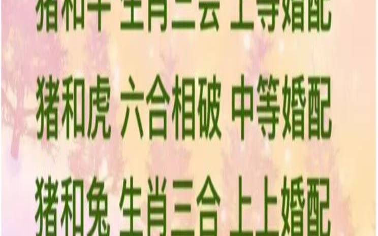 猪和什么生肖配对很好（猪配对什么生肖最好）