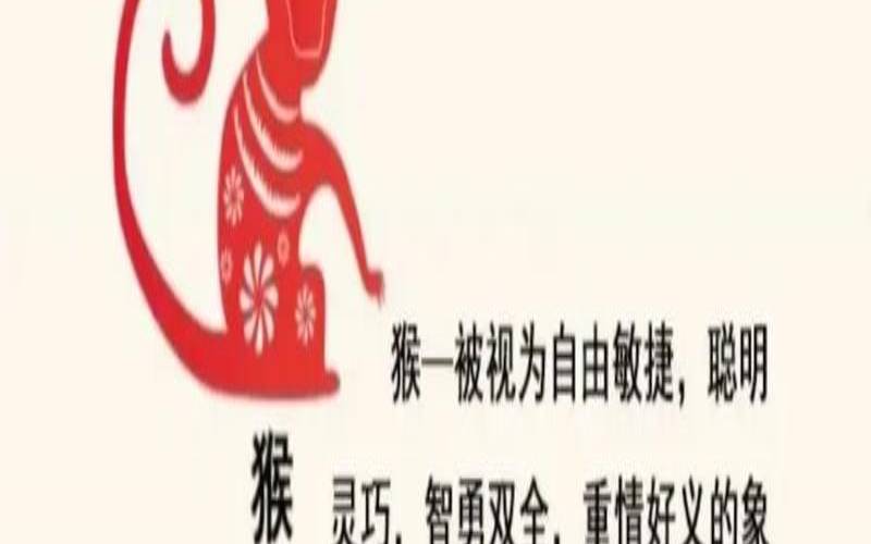 2005的猴子在2020年的运势（2005年生肖鸡一生命运）
