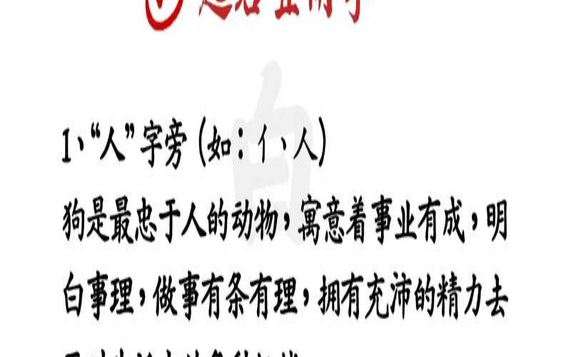 狗年取名字带什么字好听（属狗的人取名宜用字）