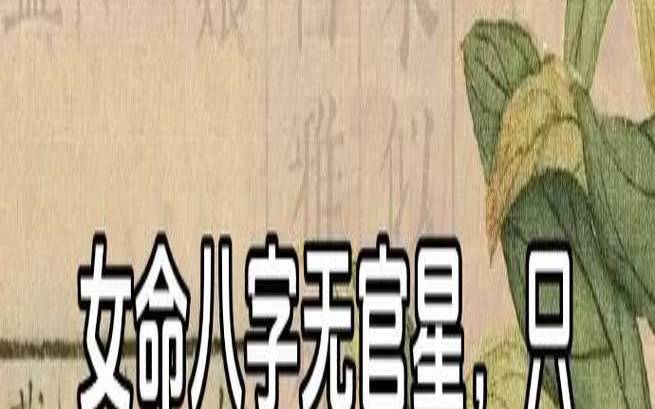 女命不结婚的八字（八字没有官星女命案例）