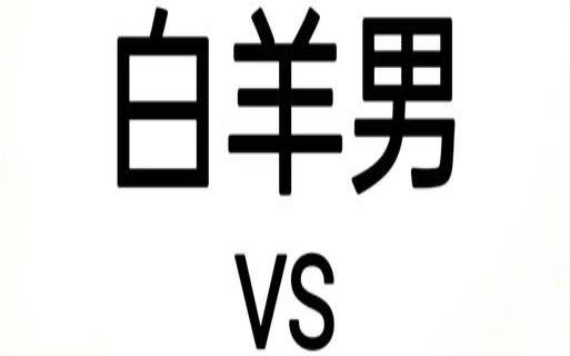 射手男会娶白羊女吗（射手女和白羊男合适吗）