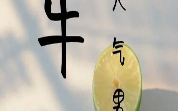 牛宝宝男孩起名大全（2021年牛宝宝取名字最佳字）