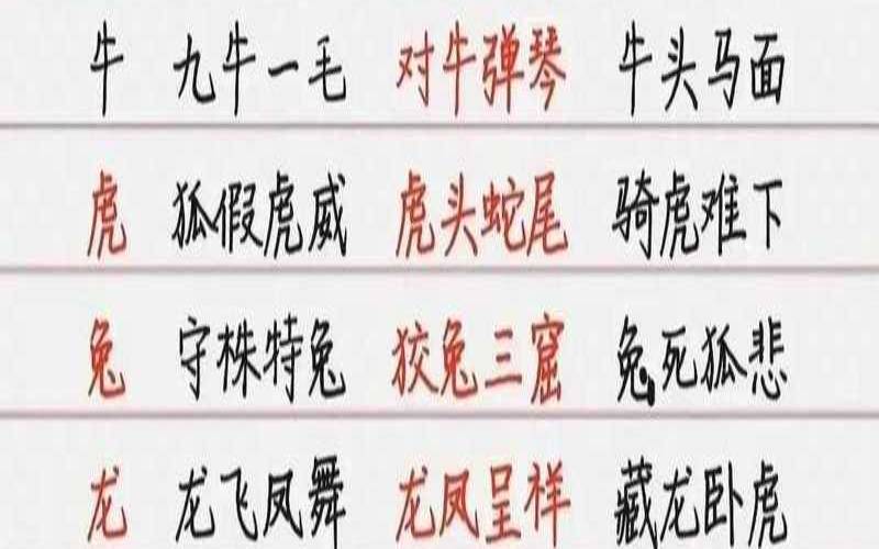 和字形容什么生肖（和字打一个生肖）