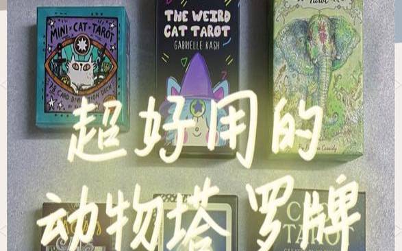 塔罗哈比熊2013年8月12星座运势（塔罗牌死去的宠物）