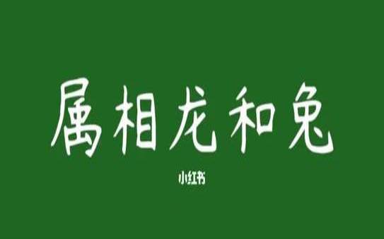 属龙属兔的属相合不合（属兔的和什么属相不合）