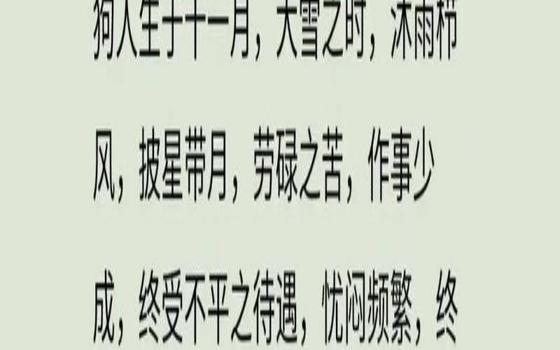 十二生肖属狗的每月命运（属狗人做什么生意最旺）