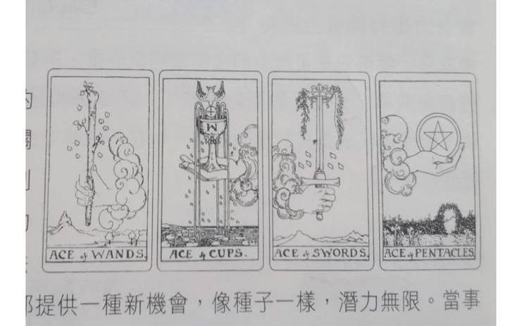 塔罗葵花宝典和12周年区别（塔罗葵花宝典书籍）