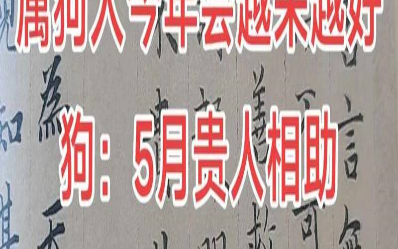 1970年属狗是什么星座（82年属狗是什么星座的人）