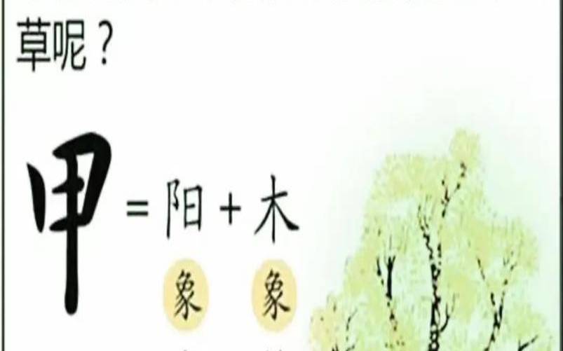 八字卯木是什么（卯木是湿木还是燥木）