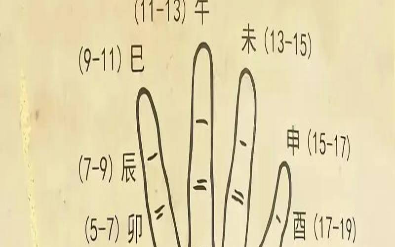 道家十二地支（十二地支详解与精论）