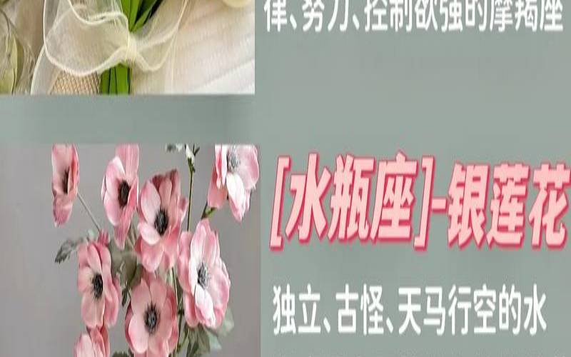 星座生日花占卜（水瓶座是什么花神）