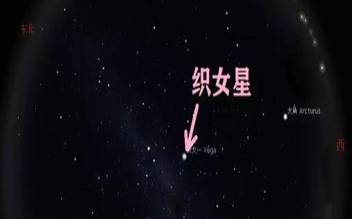 织女星位于哪个星座（牛郎星是猎户座吗）