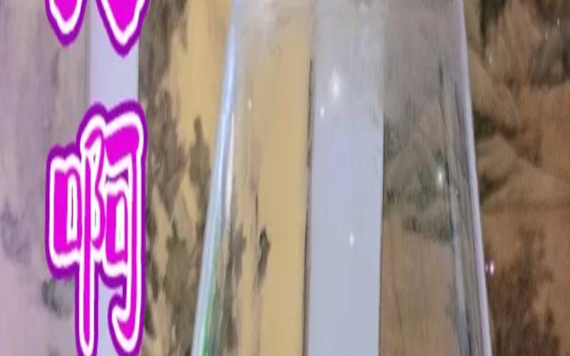 把自己活成女汉子的说说（我变成了妹子破解版）