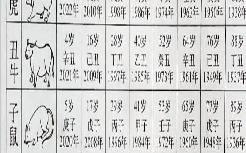 1946年属什么生肖年是什么（12生肖排序年龄）