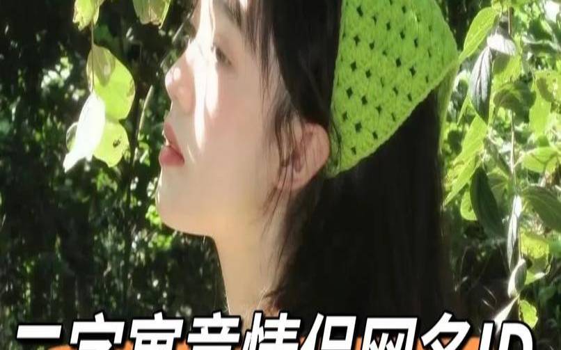 情侣名字配对两个字（情侣网名二字可爱）